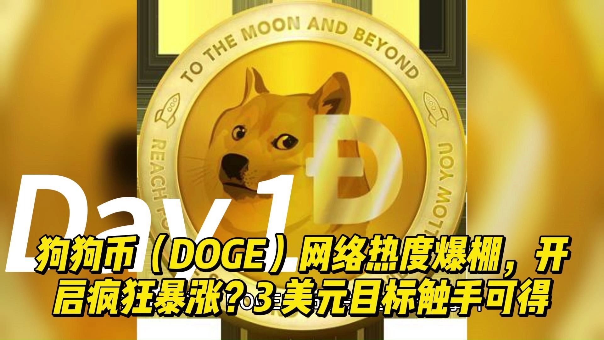 doge币地址(doggy币地址)