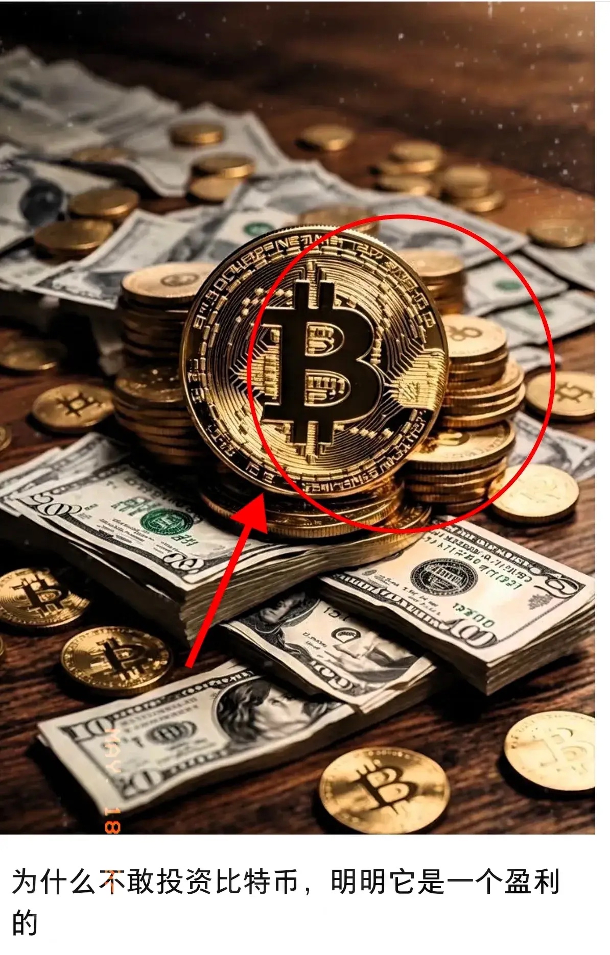 肥宅比特币(肥宅比特币语录) 肥宅比特币(肥宅比特币语录)