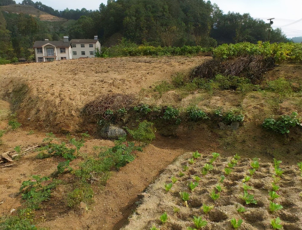 土改红利在哪里(土改公平吗) 土改红利在哪里(土改公平吗)