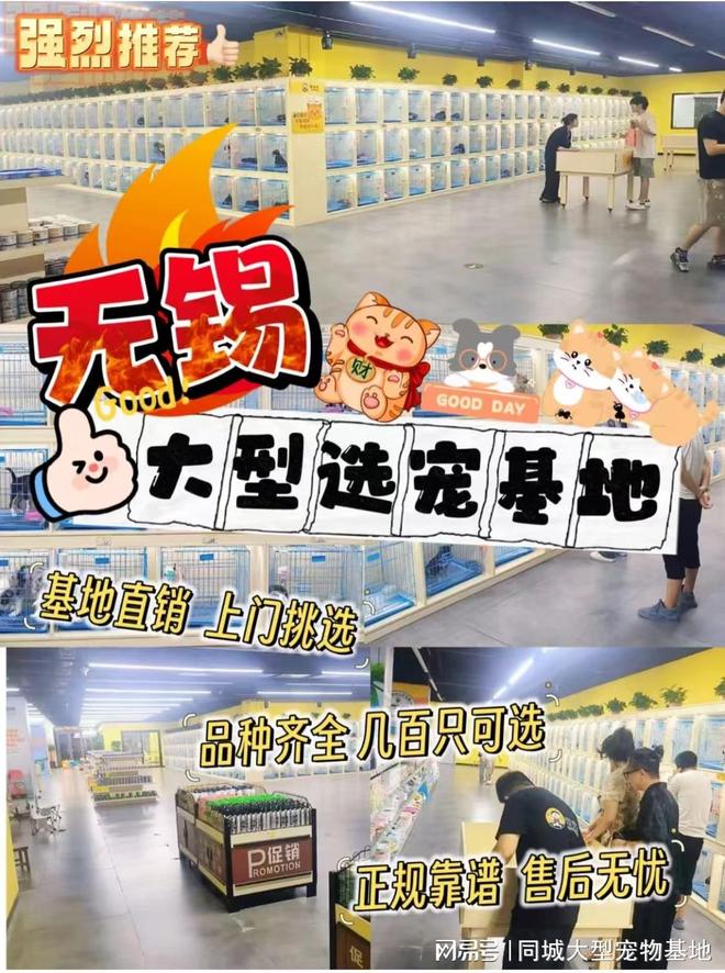 gu哪里可以买(那里能买到ghb) gu哪里可以买(那里能买到ghb)